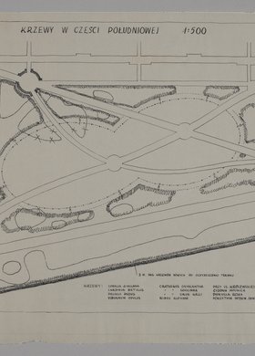 Ogród Saski, krzewy w części południowej