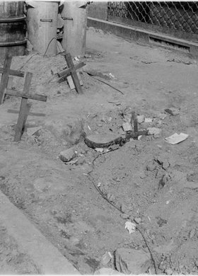 Groby na chodniku pod kamienicą przy ulicy Szpitalnej 4