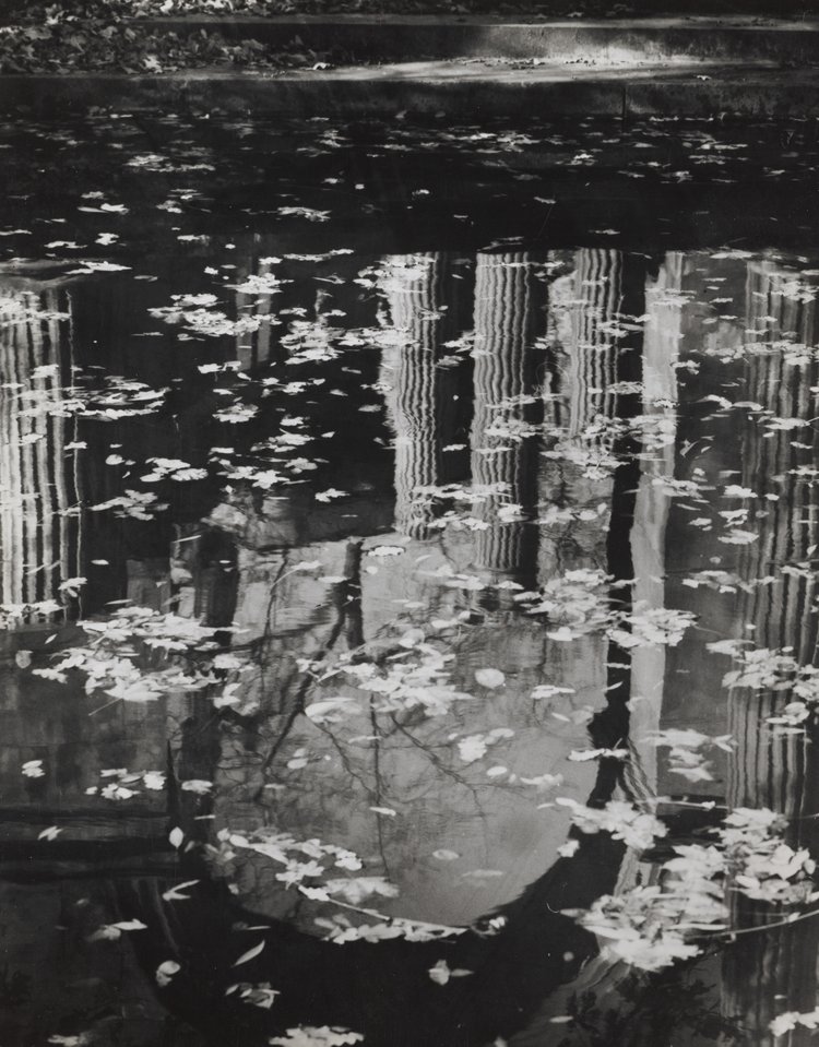 Amfiteatr w Łazienkach Królewskich, odbicie w wodzie