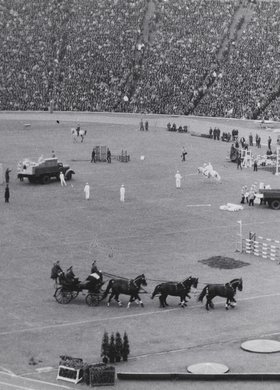 Zawody hippiczne na Stadionie Dziesięciolecia