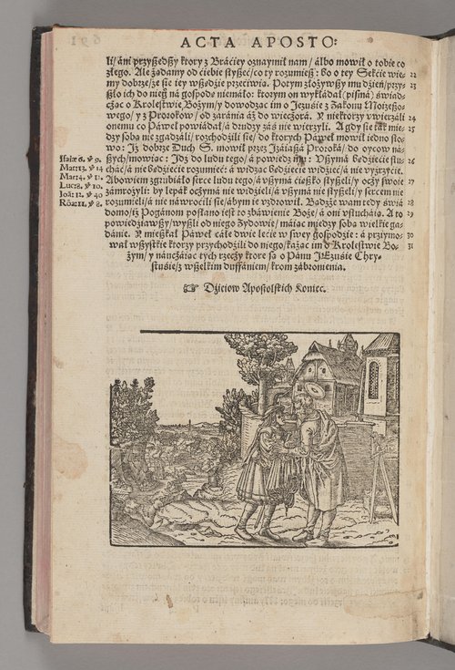 Nowy Testament Polski (Biblia Leopolity)