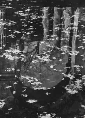 Amfiteatr w Łazienkach Królewskich, odbicie w wodzie