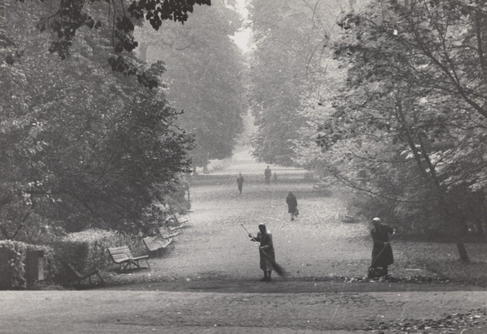 Zamiatanie liści w Łazienkach Królewskich