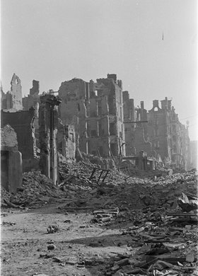 Pamiętnik Warszawiaka. Godło „Krokus 1948” - Ignacy Bujak