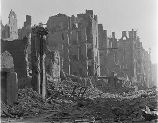Pamiętnik Warszawiaka. Godło „Krokus 1948” - Ignacy Bujak