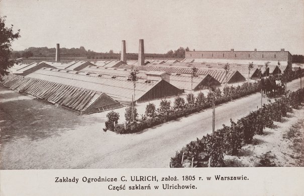 Szklarnie Zakładów Ogrodniczych C. Ulrich, 09.1927