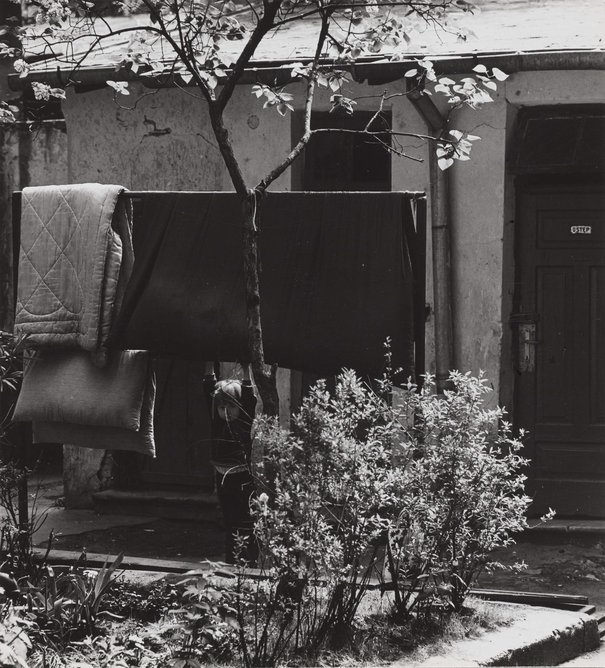 Albert Krystyniak, Dziewczynka opierająca się o trzepak na podwórzu kamienicy przy ulicy Stalowej 36, lata 1973 - 1976