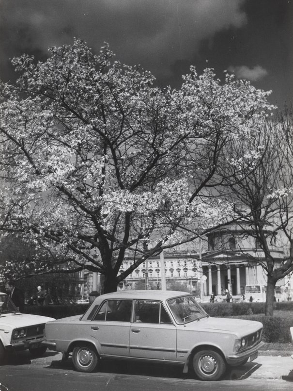 Plac Trzech Krzyży wiosną Hartwig, Edward lata 70.-80. XX w.