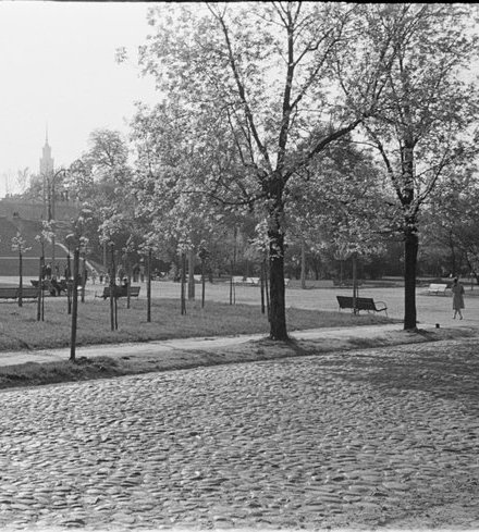 Modernistyczna zieleń Warszawy